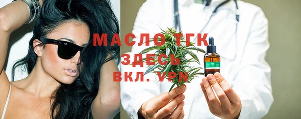 крисы Каменногорск