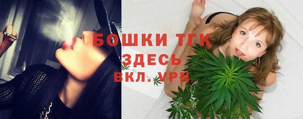 хмурый Инта