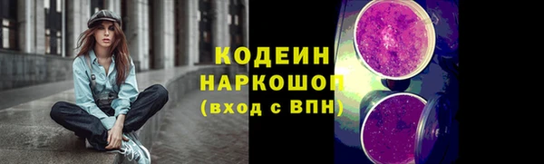 крисы Каменногорск