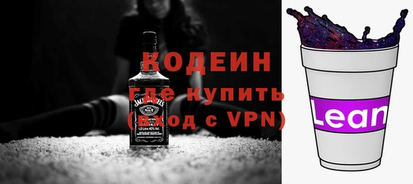 хмурый Инта