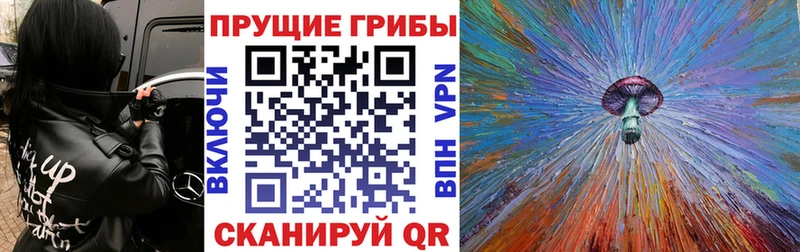 Псилоцибиновые грибы Psilocybe  Кизел 